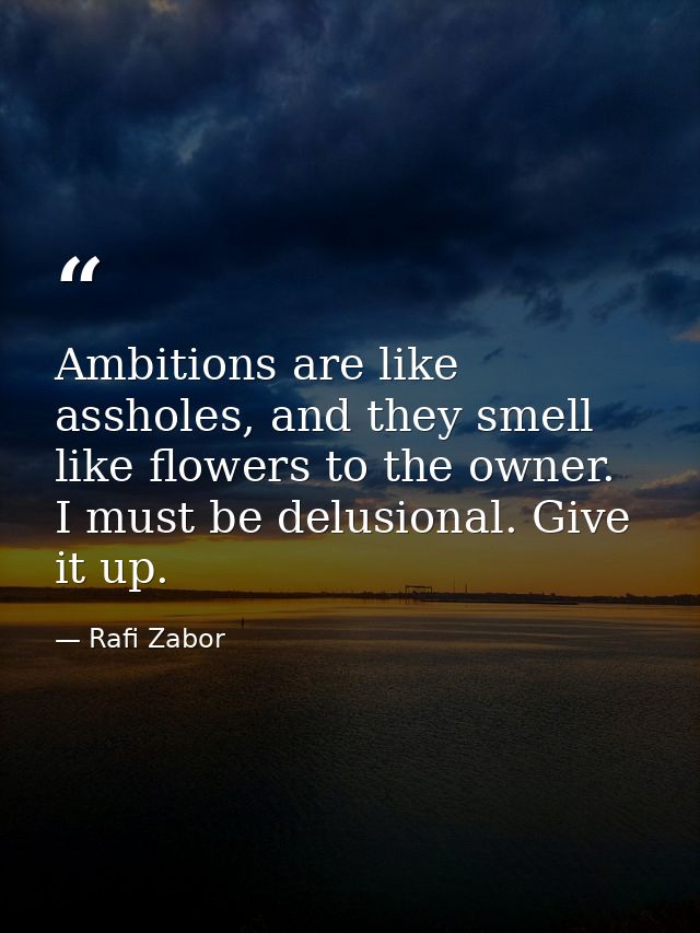 Ambitions are like assholes, and they smell like flowers to the owner. I must be delusional. Give it up. — Rafi Zabor