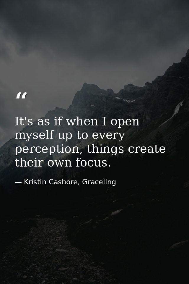 It's as if when I open myself up to every perception, things create their own focus. — Kristin Cashore, Graceling