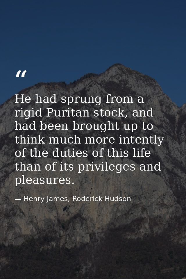 He had sprung from a rigid Puritan stock, and had been brought up to think much more intently of the duties of this life — Henry James, Roderick Hudson