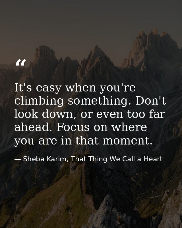 It's easy when you're climbing something. Don't look down, or even too far ahead. Focus on where you are in that moment. — Sheba Karim, That Thing We Call a Heart