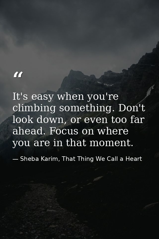 It's easy when you're climbing something. Don't look down, or even too far ahead. Focus on where you are in that moment. — Sheba Karim, That Thing We Call a Heart