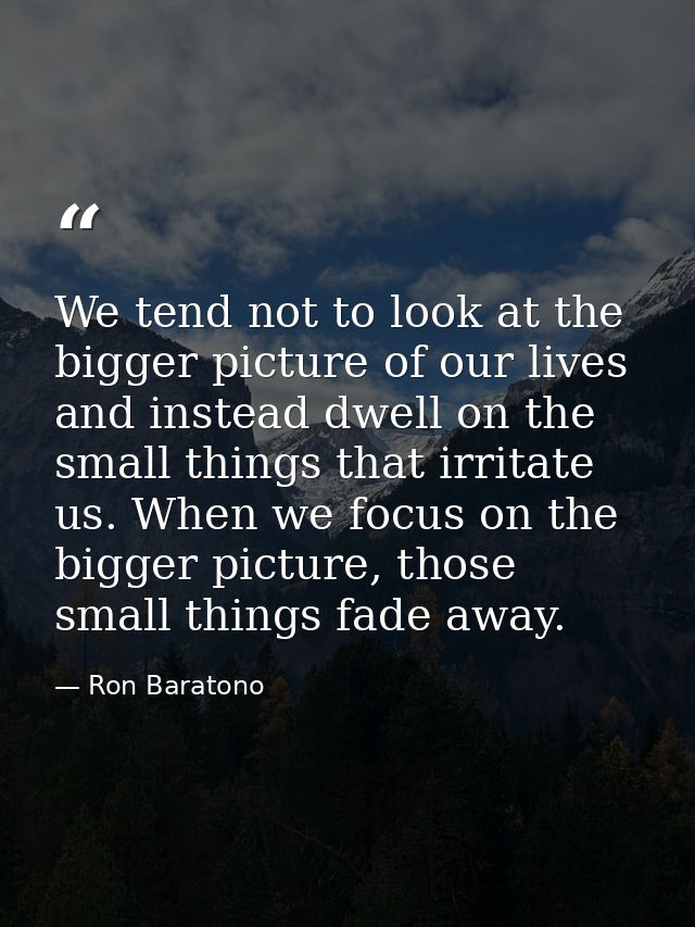 We tend not to look at the bigger picture of our lives and instead dwell on the small things that irritate us. When we f — Ron Baratono