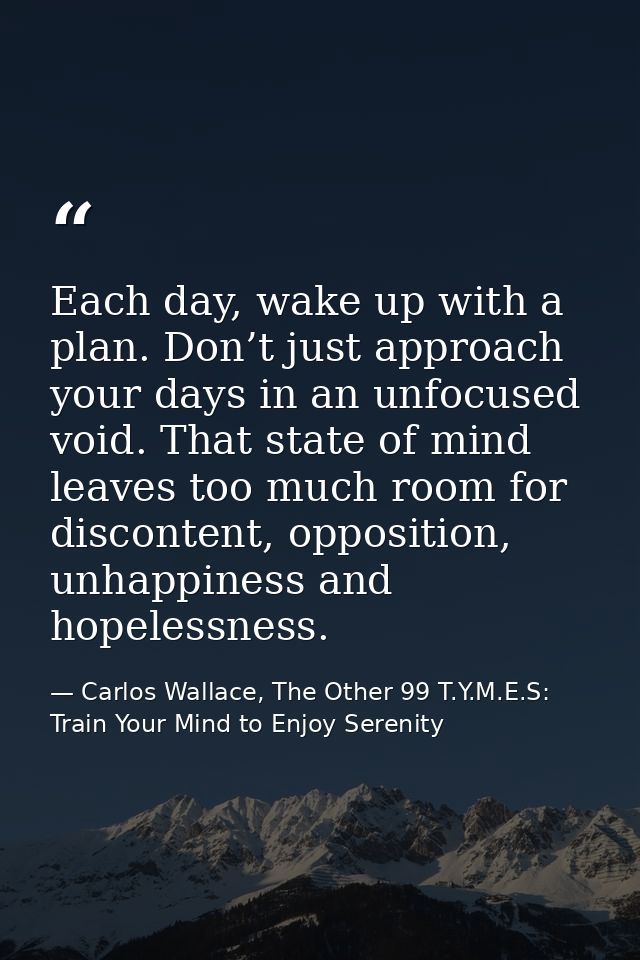 Each day, wake up with a plan. Don’t just approach your days in an unfocused void. That state of mind leaves too much ro — Carlos Wallace, The Other 99 T.Y.M.E.S: Train Your Mind to Enjoy Serenity