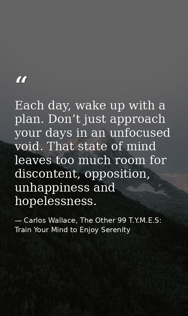 Each day, wake up with a plan. Don’t just approach your days in an unfocused void. That state of mind leaves too much ro — Carlos Wallace, The Other 99 T.Y.M.E.S: Train Your Mind to Enjoy Serenity