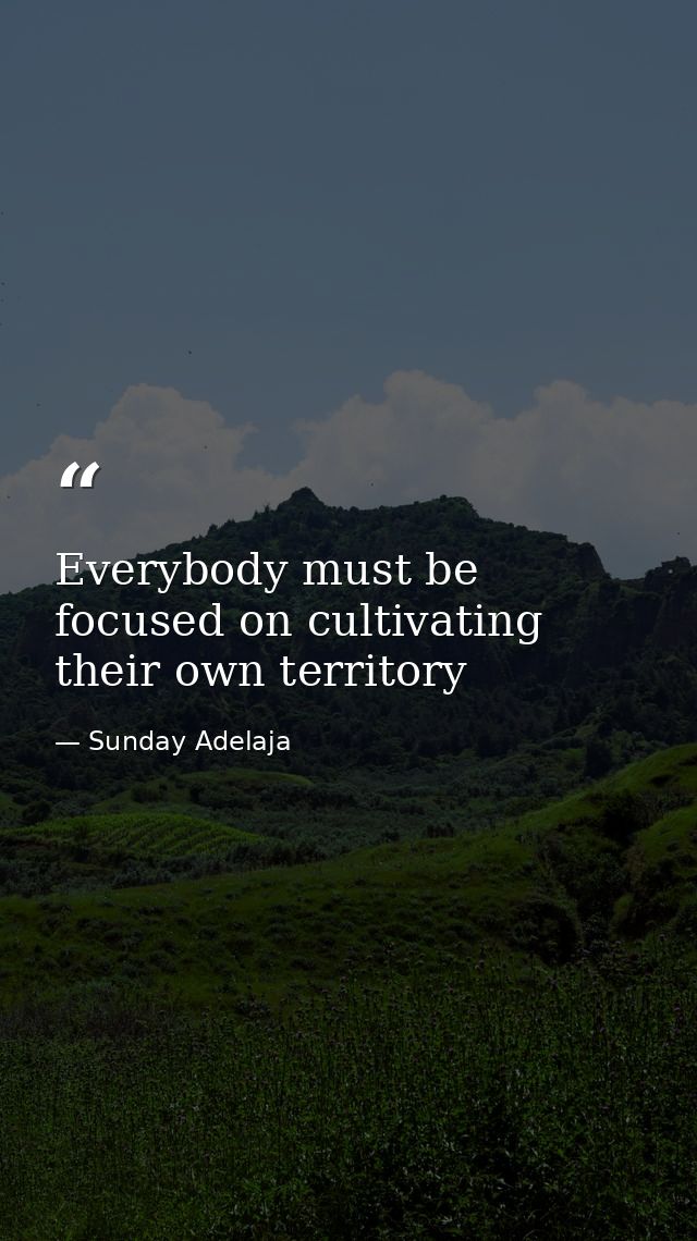 Everybody must be focused on cultivating their own territory — Sunday Adelaja