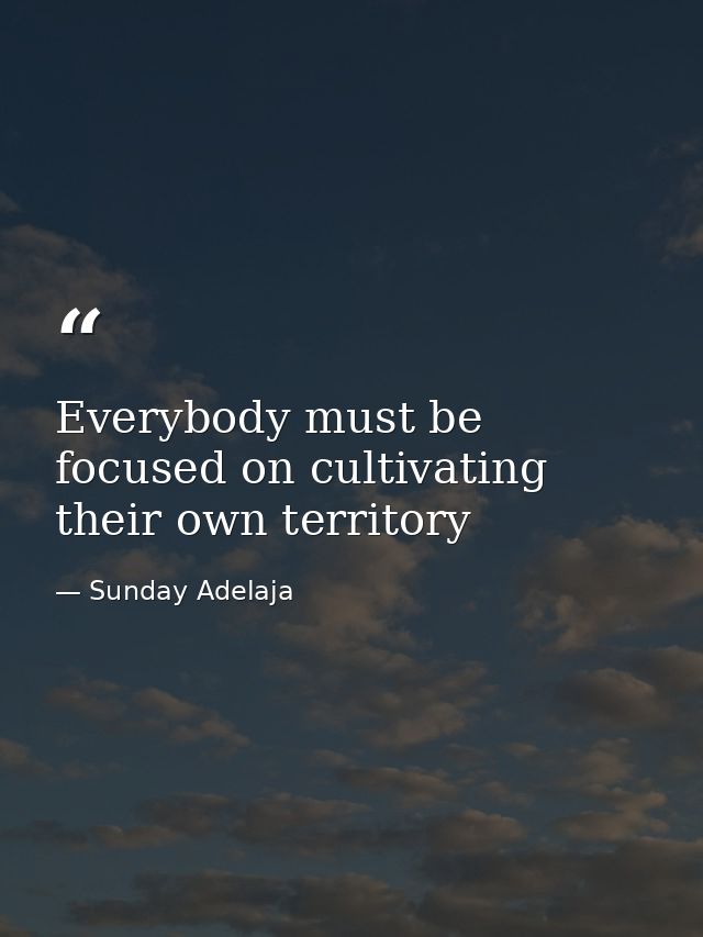 Everybody must be focused on cultivating their own territory — Sunday Adelaja