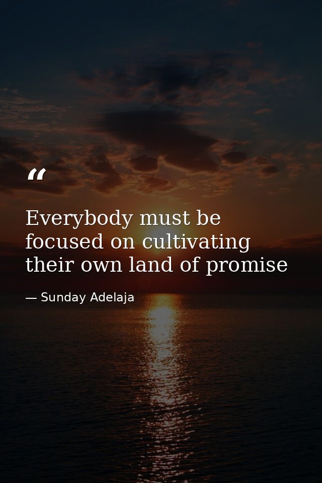 Everybody must be focused on cultivating their own land of promise — Sunday Adelaja