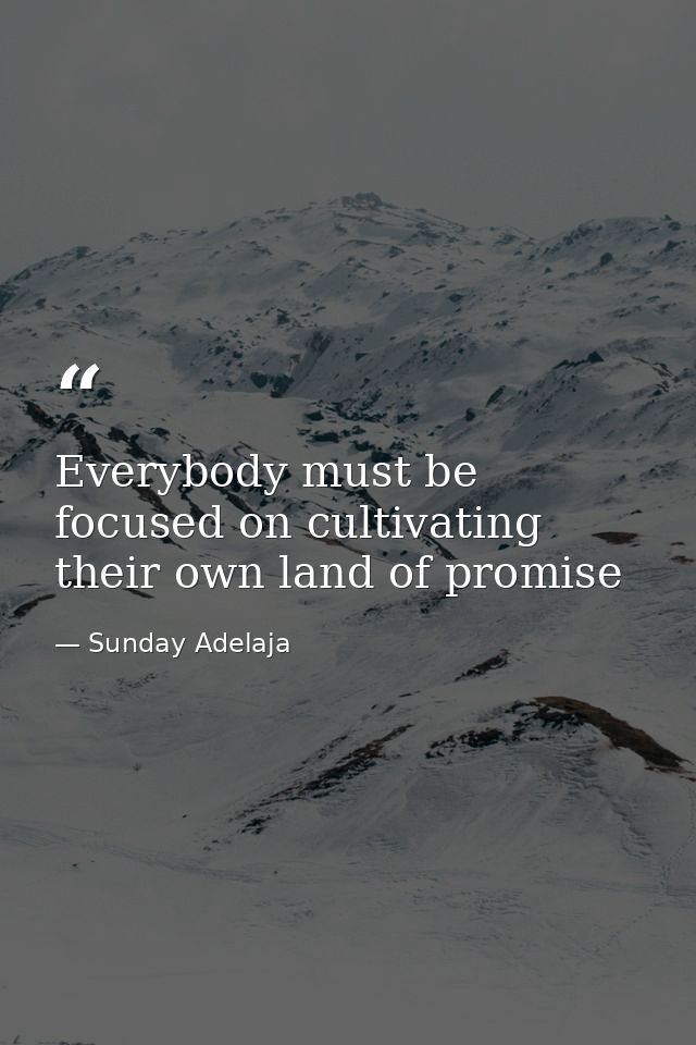 Everybody must be focused on cultivating their own land of promise — Sunday Adelaja