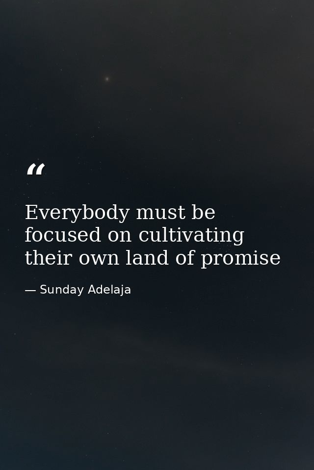 Everybody must be focused on cultivating their own land of promise — Sunday Adelaja