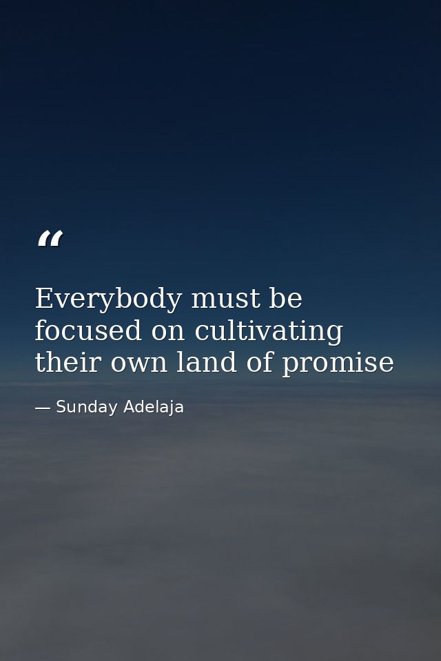 Everybody must be focused on cultivating their own land of promise — Sunday Adelaja
