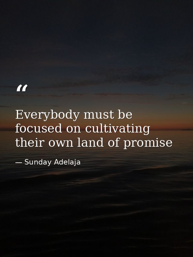 Everybody must be focused on cultivating their own land of promise — Sunday Adelaja