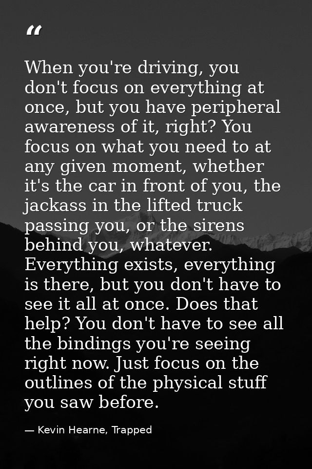When you're driving, you don't focus on everything at once, but you have peripheral awareness of it, right? You focus on — Kevin Hearne, Trapped