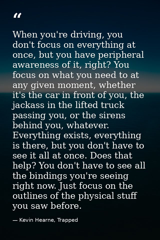 When you're driving, you don't focus on everything at once, but you have peripheral awareness of it, right? You focus on — Kevin Hearne, Trapped