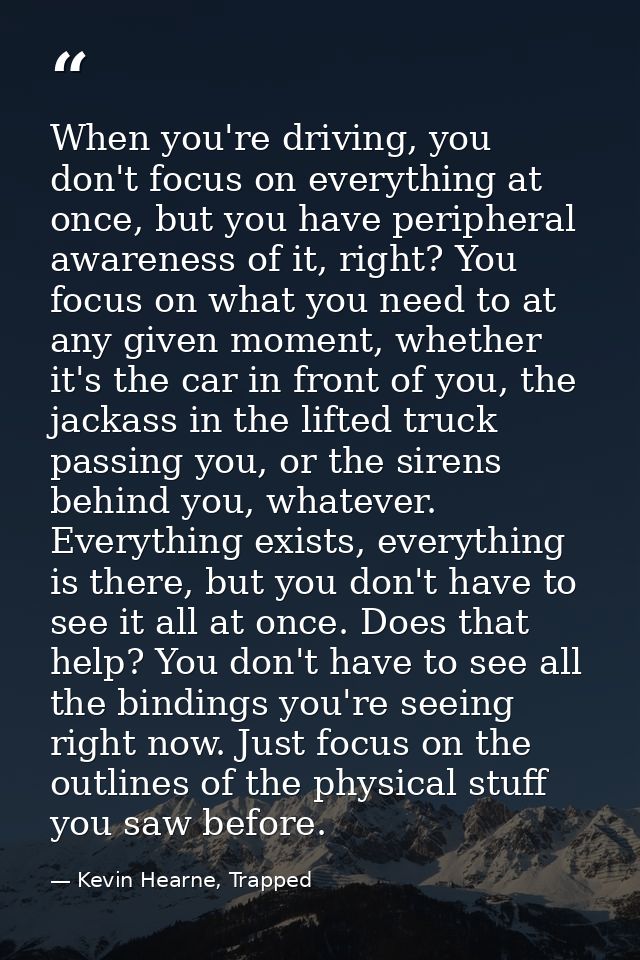 When you're driving, you don't focus on everything at once, but you have peripheral awareness of it, right? You focus on — Kevin Hearne, Trapped