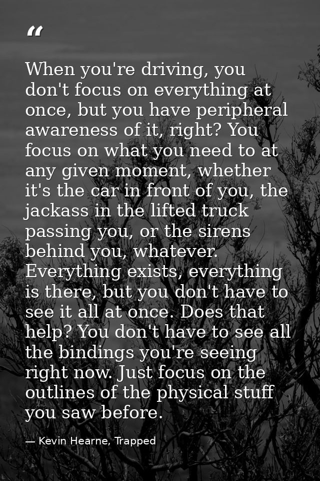 When you're driving, you don't focus on everything at once, but you have peripheral awareness of it, right? You focus on — Kevin Hearne, Trapped