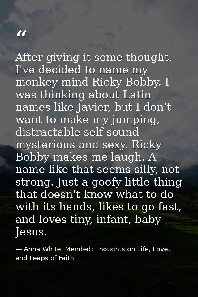 After giving it some thought, I've decided to name my monkey mind Ricky Bobby. I was thinking about Latin names like Jav — Anna White, Mended: Thoughts on Life, Love, and Leaps of Faith