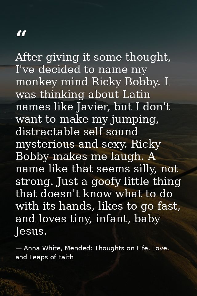After giving it some thought, I've decided to name my monkey mind Ricky Bobby. I was thinking about Latin names like Jav — Anna White, Mended: Thoughts on Life, Love, and Leaps of Faith