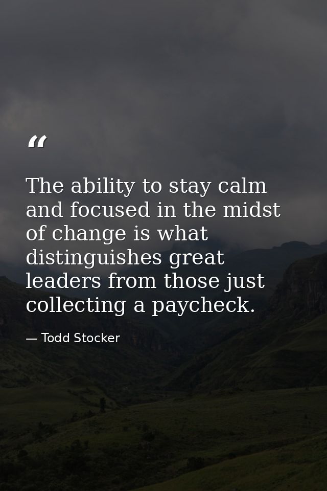 The ability to stay calm and focused in the midst of change is what distinguishes great leaders from those just collecti — Todd Stocker