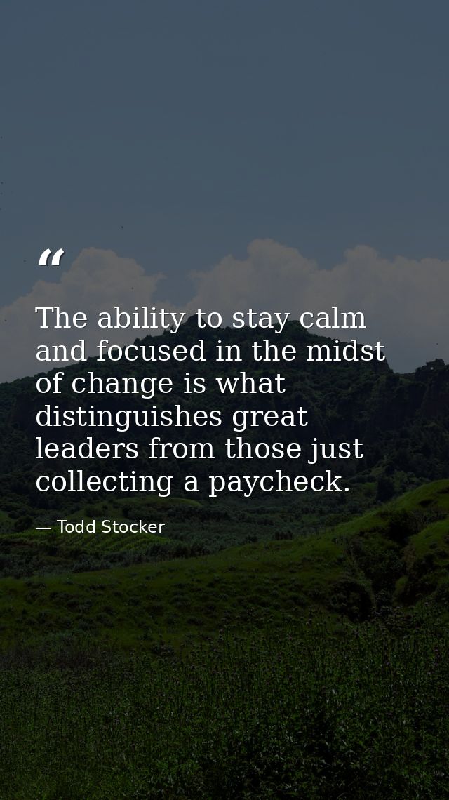 The ability to stay calm and focused in the midst of change is what distinguishes great leaders from those just collecti — Todd Stocker