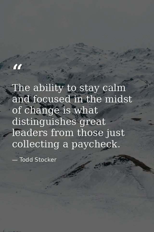 The ability to stay calm and focused in the midst of change is what distinguishes great leaders from those just collecti — Todd Stocker