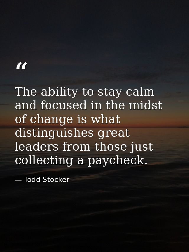The ability to stay calm and focused in the midst of change is what distinguishes great leaders from those just collecti — Todd Stocker