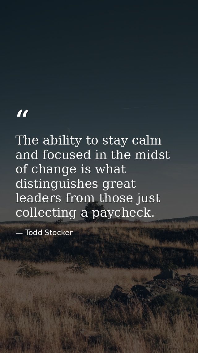 The ability to stay calm and focused in the midst of change is what distinguishes great leaders from those just collecti — Todd Stocker