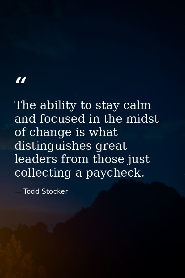 The ability to stay calm and focused in the midst of change is what distinguishes great leaders from those just collecti — Todd Stocker