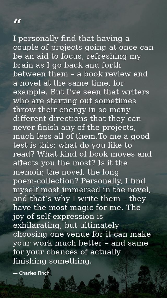 I personally find that having a couple of projects going at once can be an aid to focus, refreshing my brain as I go bac — Charles Finch