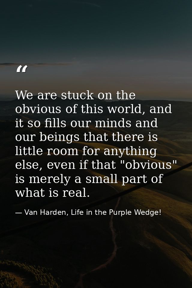 We are stuck on the obvious of this world, and it so fills our minds and our beings that there is little room for anythi — Van Harden, Life in the Purple Wedge!