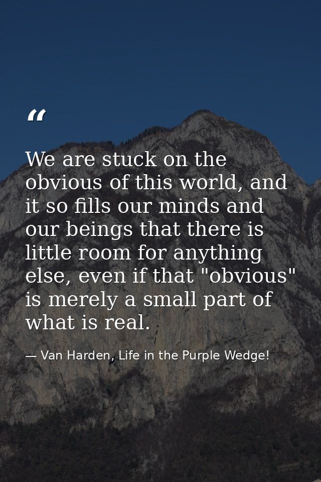 We are stuck on the obvious of this world, and it so fills our minds and our beings that there is little room for anythi — Van Harden, Life in the Purple Wedge!