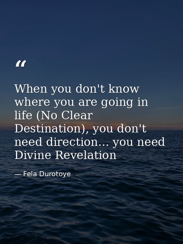 When you don't know where you are going in life (No Clear Destination), you don't need direction... you need Divine Reve — Fela Durotoye