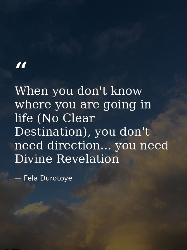When you don't know where you are going in life (No Clear Destination), you don't need direction... you need Divine Reve — Fela Durotoye