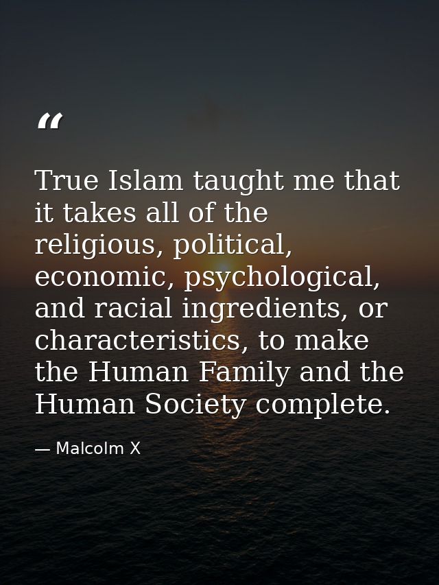 True Islam taught me that it takes all of the religious, political, economic, psychological, and racial ingredients, or  — Malcolm X