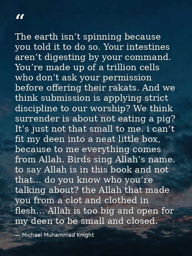 The earth isn’t spinning because you told it to do so. Your intestines aren’t digesting by your command. You’re made up  — Michael Muhammad Knight