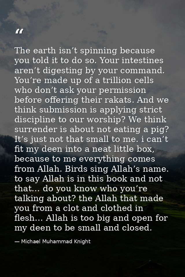 The earth isn’t spinning because you told it to do so. Your intestines aren’t digesting by your command. You’re made up  — Michael Muhammad Knight