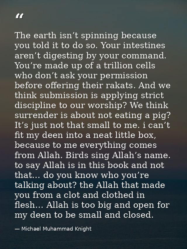 The earth isn’t spinning because you told it to do so. Your intestines aren’t digesting by your command. You’re made up  — Michael Muhammad Knight