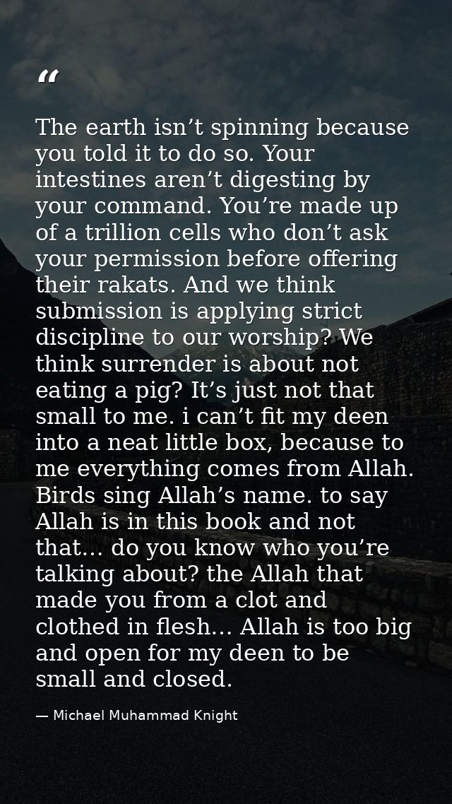 The earth isn’t spinning because you told it to do so. Your intestines aren’t digesting by your command. You’re made up  — Michael Muhammad Knight