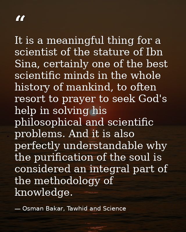 It is a meaningful thing for a scientist of the stature of Ibn Sina, certainly one of the best scientific minds in the w — Osman Bakar, Tawhid and Science