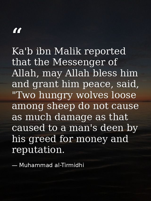 Ka'b ibn Malik reported that the Messenger of Allah, may Allah bless him and grant him peace, said, "Two hungry wolves l — Muhammad al-Tirmidhi