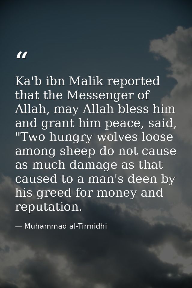 Ka'b ibn Malik reported that the Messenger of Allah, may Allah bless him and grant him peace, said, "Two hungry wolves l — Muhammad al-Tirmidhi