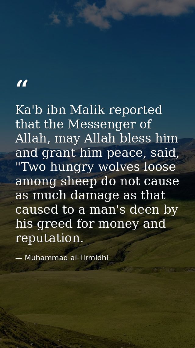 Ka'b ibn Malik reported that the Messenger of Allah, may Allah bless him and grant him peace, said, "Two hungry wolves l — Muhammad al-Tirmidhi