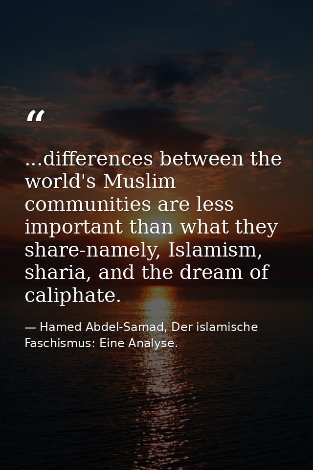 ...differences between the world's Muslim communities are less important than what they share-namely, Islamism, sharia,  — Hamed Abdel-Samad, Der islamische Faschismus: Eine Analyse.
