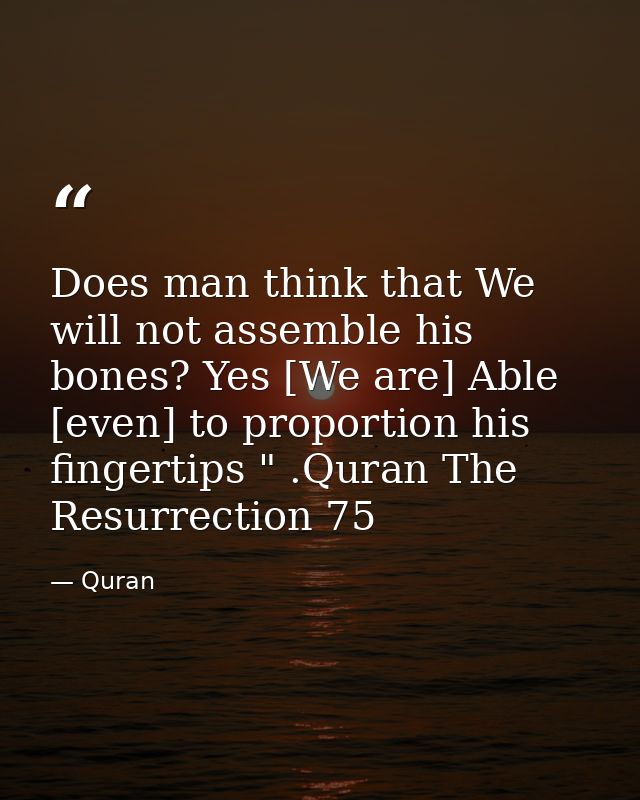 Does man think that We will not assemble his bones? Yes [We are] Able [even] to proportion his fingertips " .Quran The R — Quran
