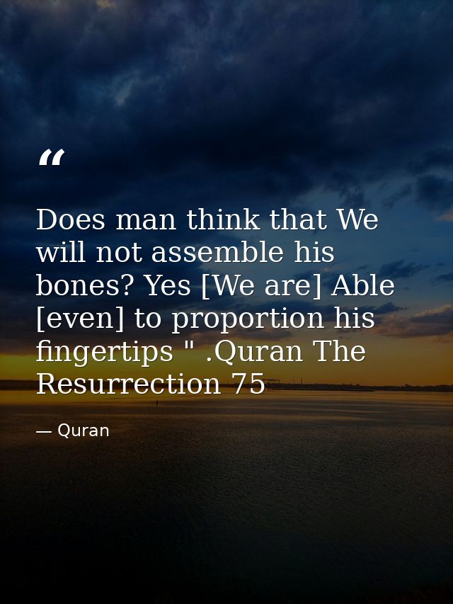 Does man think that We will not assemble his bones? Yes [We are] Able [even] to proportion his fingertips " .Quran The R — Quran
