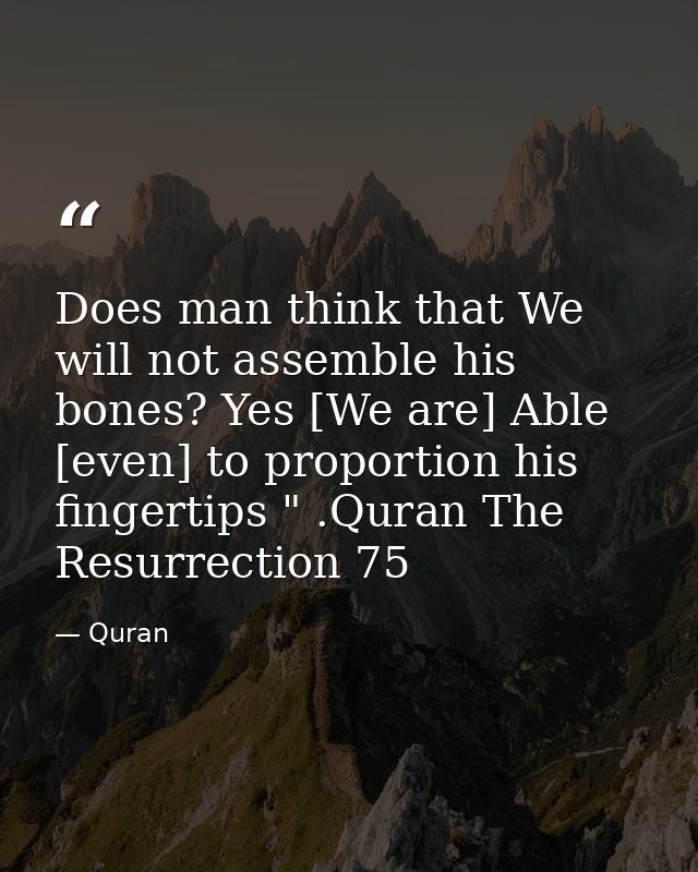 Does man think that We will not assemble his bones? Yes [We are] Able [even] to proportion his fingertips " .Quran The R — Quran