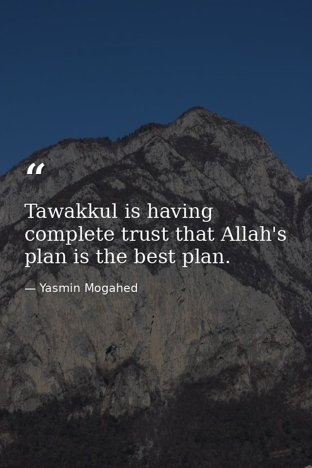 Tawakkul is having complete trust that Allah's plan is the best plan. — Yasmin Mogahed