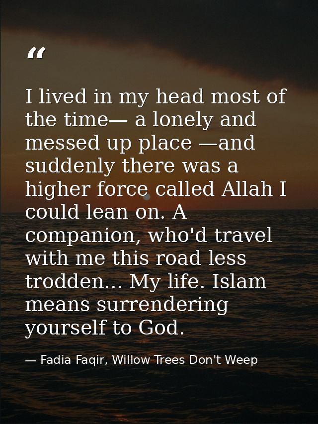 I lived in my head most of the time— a lonely and messed up place —and suddenly there was a higher force called Allah I  — Fadia Faqir, Willow Trees Don't Weep