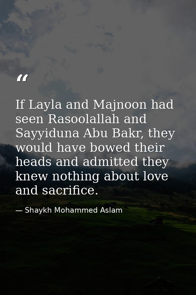 If Layla and Majnoon had seen Rasoolallah and Sayyiduna Abu Bakr, they would have bowed their heads and admitted they kn — Shaykh Mohammed Aslam