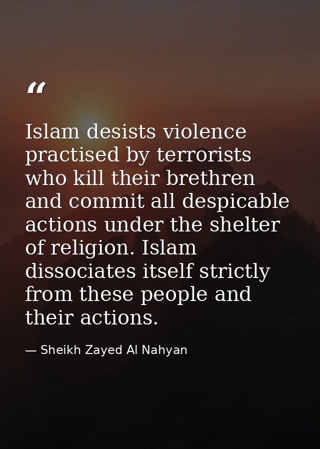 Islam desists violence practised by terrorists who kill their brethren and commit all despicable actions under the shelt — Sheikh Zayed Al Nahyan