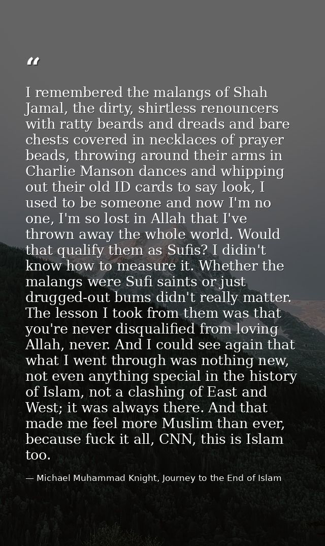 I remembered the malangs of Shah Jamal, the dirty, shirtless renouncers with ratty beards and dreads and bare chests cov — Michael Muhammad Knight, Journey to the End of Islam